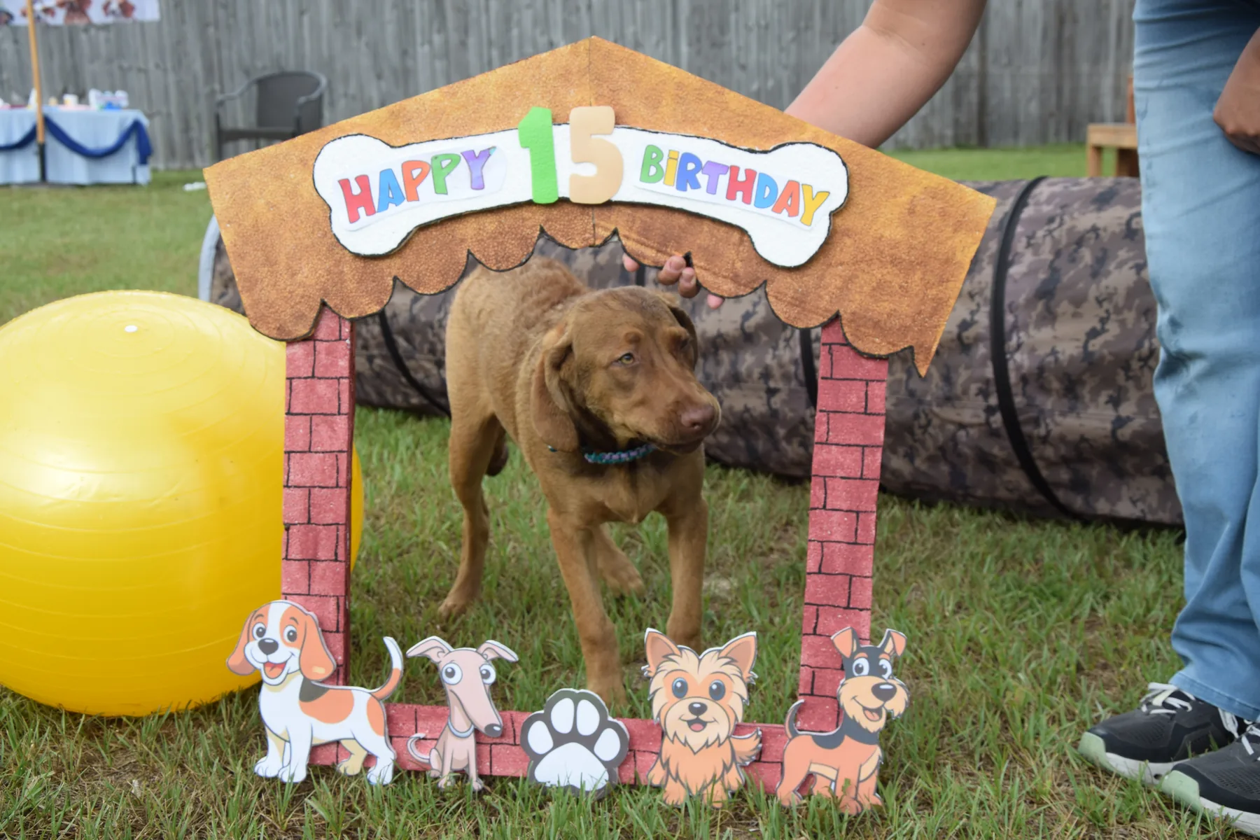 Dog House Events experience