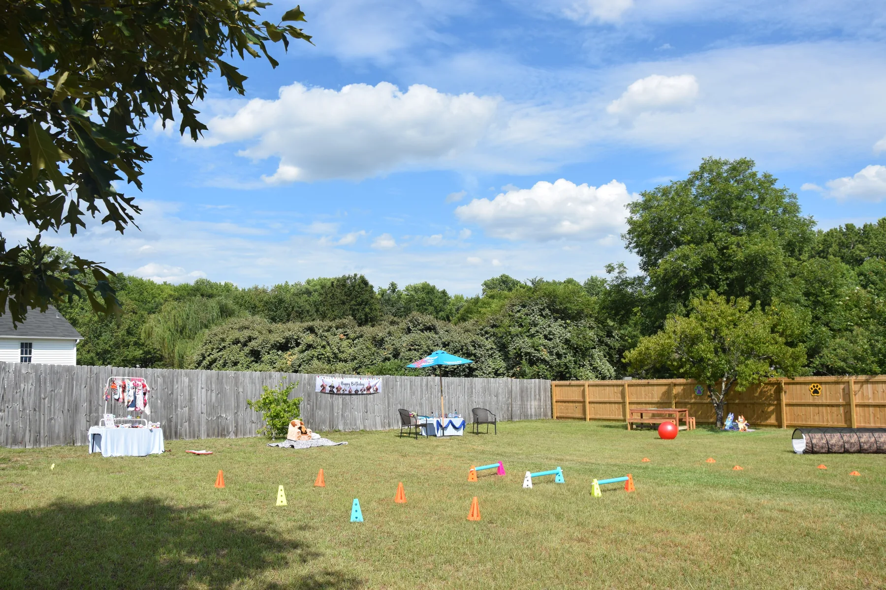 Dog House Events experience