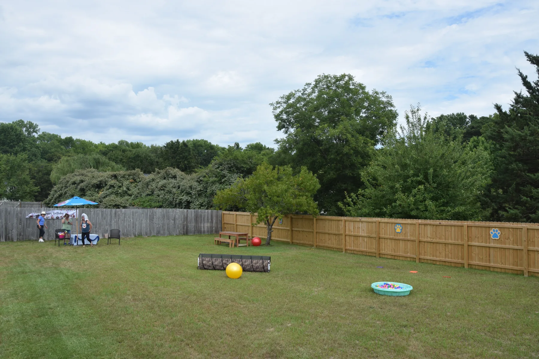 The event field